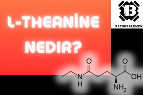 L-Teanin Nedir ?
