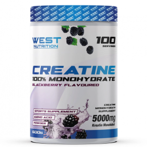 West Creatin Monohdirat 600 gr 100 Servis